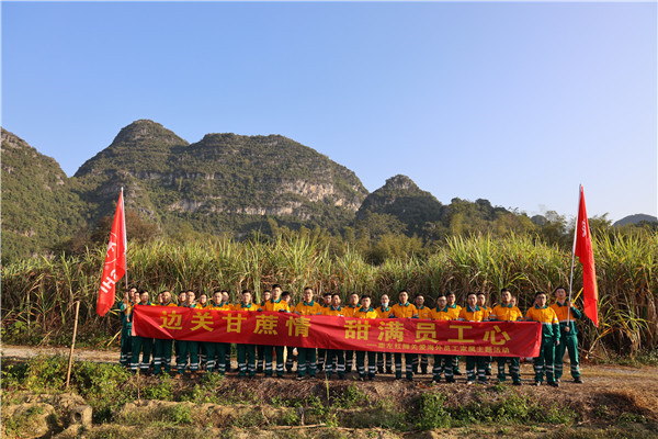 边关甘蔗情，“甜”满员工心—崇左意大利贵宾会助海外员工家属收甘蔗